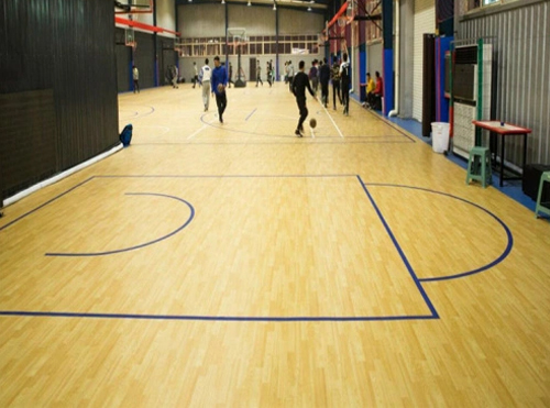 Indoor Basketball Court Mat