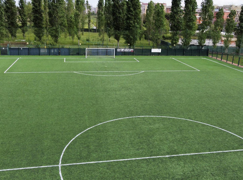 Artificial Turf Football Ground (Asian)